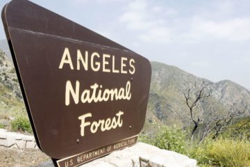 Angeles National Forest to Reopen